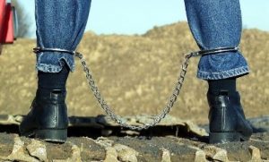 Daily Vocabulary Words 26th September 2022: Improve Your Vocabulary with Antonyms & Synonyms – Home_3.1