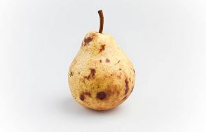 Daily Vocabulary Words 19th October: Improve Your Vocabulary with Antonyms & Synonyms – Home_4.1