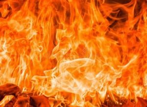 Daily Vocabulary Words 20 February 2023: Improve Your Vocabulary with Antonyms & Synonyms – Home_8.1