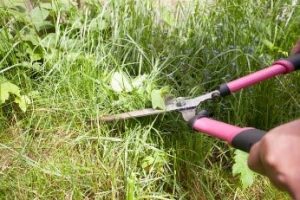 Daily Vocabulary Words 28 February 2023: Improve Your Vocabulary with Antonyms & Synonyms – Home_9.1