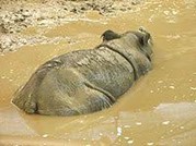 Daily Vocabulary Words 10 June 2023: Improve Your Vocabulary with Antonyms & Synonyms – Home_6.1