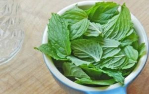 Daily Vocabulary Words 10 June 2023: Improve Your Vocabulary with Antonyms & Synonyms – Home_8.1