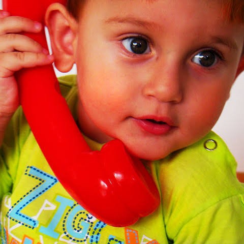 Daily Vocabulary Words 11 August 2023: Improve Your Vocabulary with Antonyms & Synonyms – Home_8.1