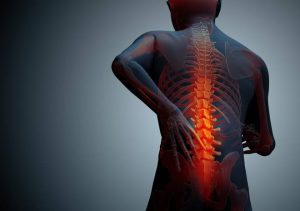 Daily Vocabulary Words 12 August 2023: Improve Your Vocabulary with Antonyms & Synonyms – Home_7.1