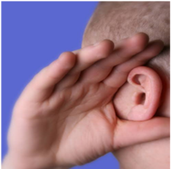 Daily Vocabulary Words 31 January 2024: Improve Your Vocabulary with Antonyms & Synonyms – Home_5.1