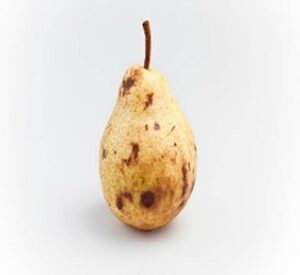 Daily Vocabulary Words 31 January 2024: Improve Your Vocabulary with Antonyms & Synonyms – Home_7.1