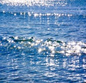 Daily Vocabulary Words 08 February 2024: Improve Your Vocabulary with Antonyms & Synonyms – Home_4.1