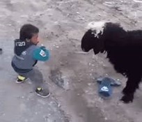 Daily Vocabulary Words 24 February 2024: Improve Your Vocabulary with Antonyms & Synonyms – Home_5.1