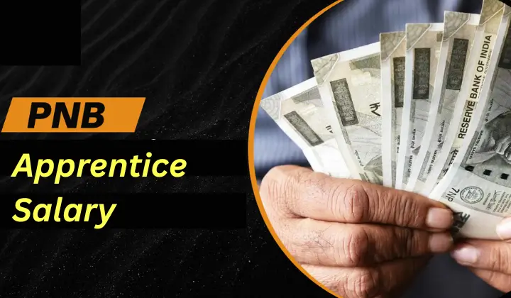 PNB Apprentice salary