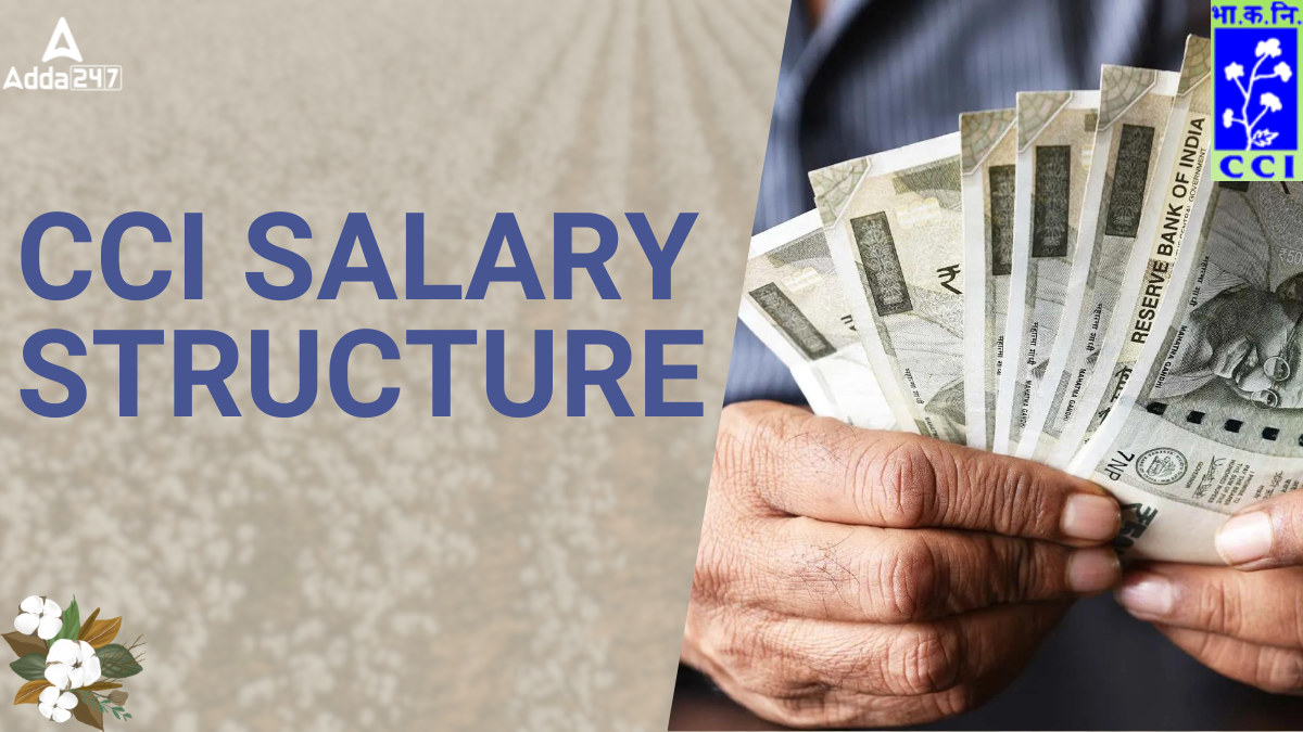 CCI Salary Structure
