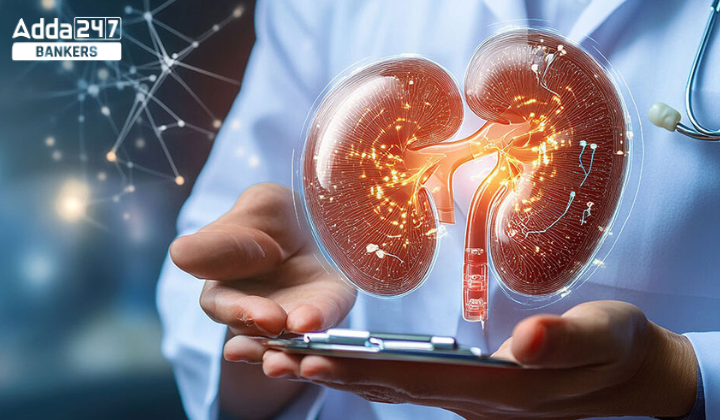 World Organ Donation Day 2025