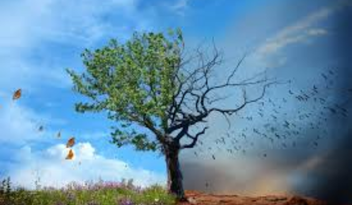 International Day for Preventing the Exploitation of the Environment in War and Armed Conflict