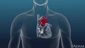 Study notes on "Human Heart" For Govt. Exam 2023_60.1