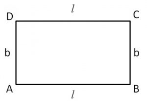 Area of Rectangle - Definition, Formula and Problems