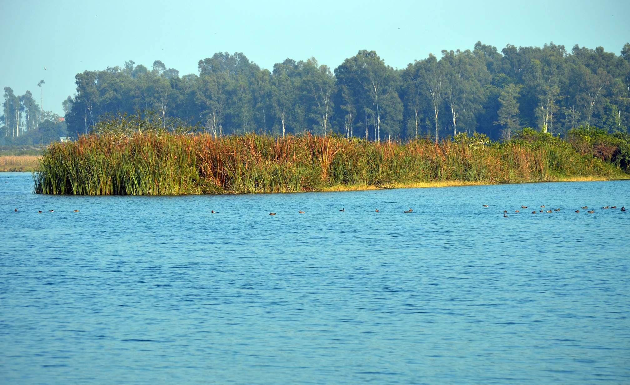 Featured Image