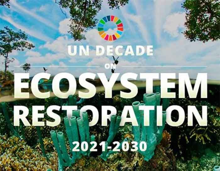 United Nations Decade on Ecosystem Restoration 20212030