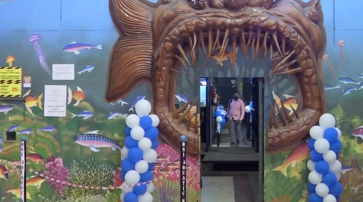 India's first movable freshwater tunnel aquarium installed at Bengaluru