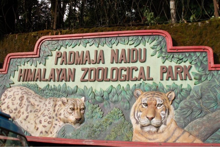 Padmaja Naidu Himalayan Zoological Park in Darjeeling recognised as