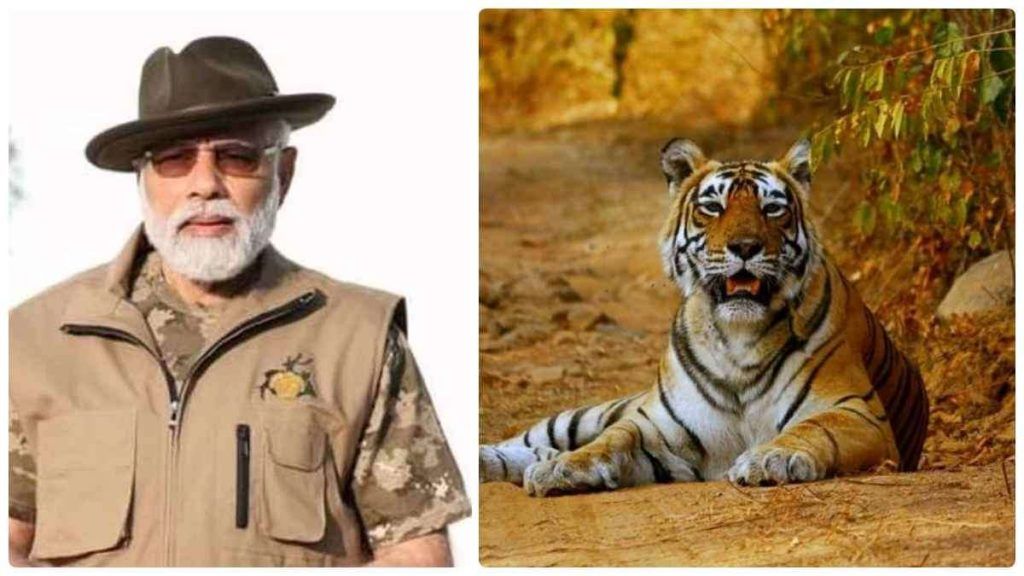 PM Modi Launched Big Cats Alliance To Conserve Seven Cats