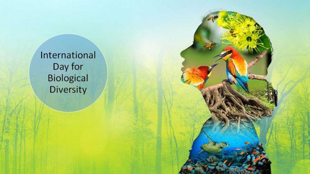 International Day for Biological Diversity 2023 observed on 22 May