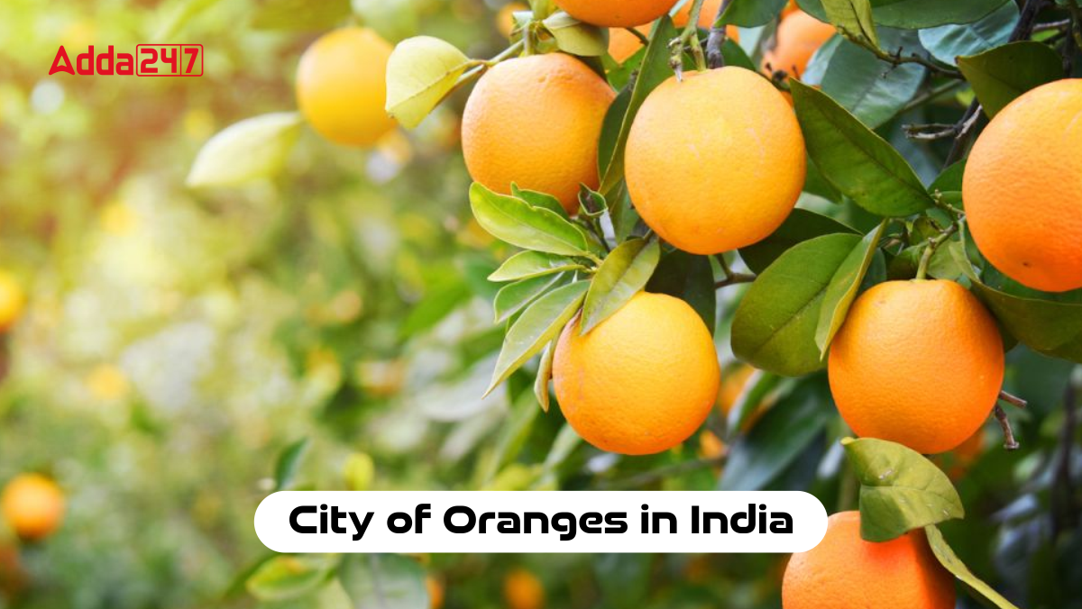 Orange City of India, Know the City Name