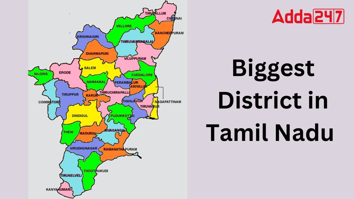 Largest District in Tamil Nadu, Know the Names of All Districts