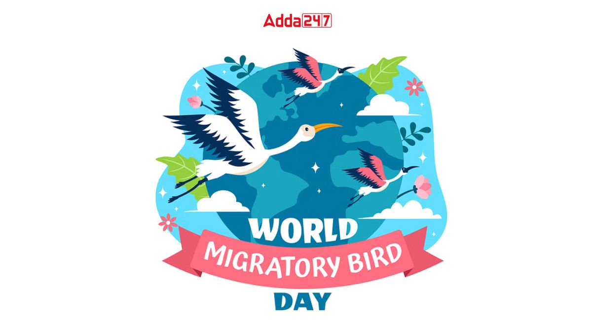 World Migratory Bird Day 2024: Celebrating the Importance of Insects