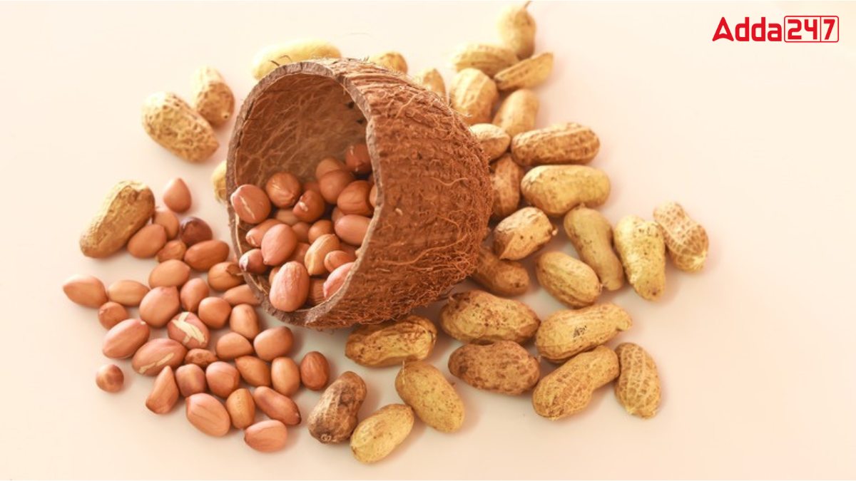 Largest Peanut Producing State in India