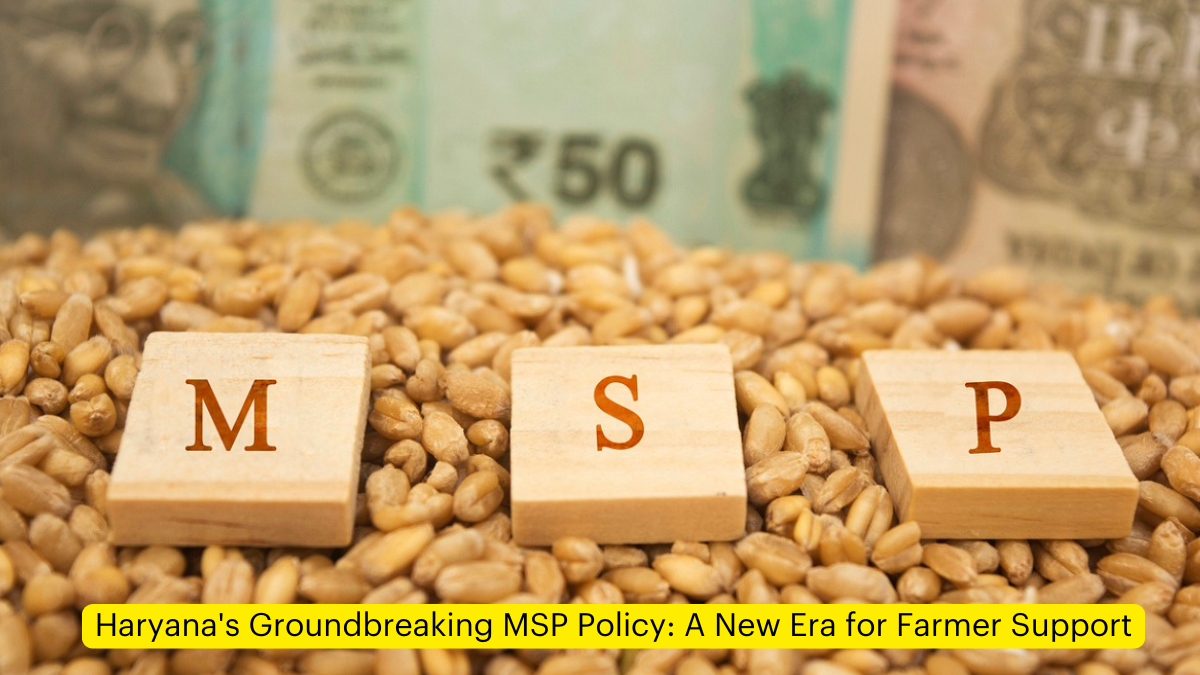 Haryana's Groundbreaking MSP Policy: A New Era for Farmer Support