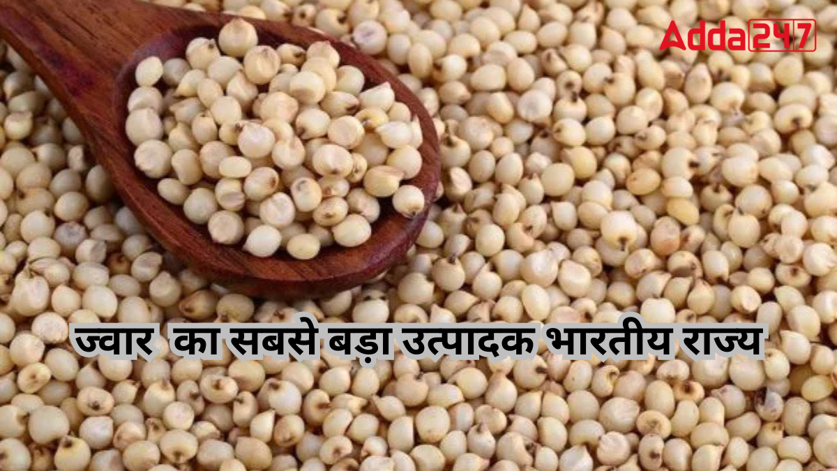 Largest Sorghum (Jowar) Producing Indian State