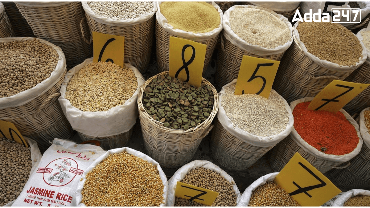 Largest Grain Market in Punjab