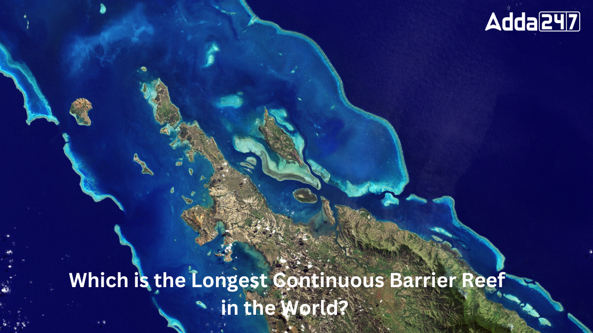 Which is the Longest Continuous Barrier Reef in the World? Know the Name