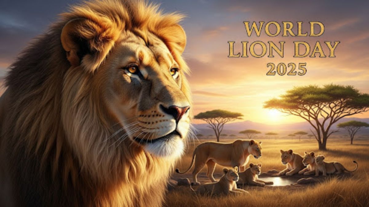 World Lion Day 2025 Why It Matters and How You Can Help Protect the King of the Jungle
