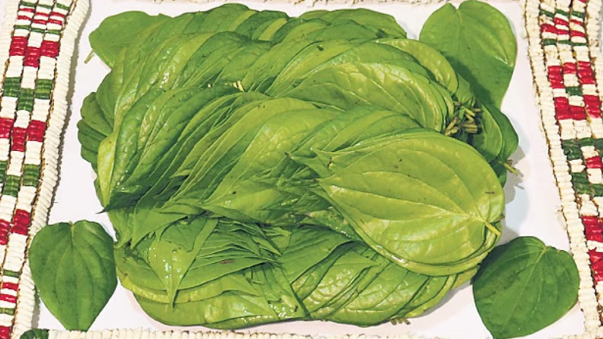 Kumbakonam Betel Leaf and Thovalai Flower Garland Receive GI Tag