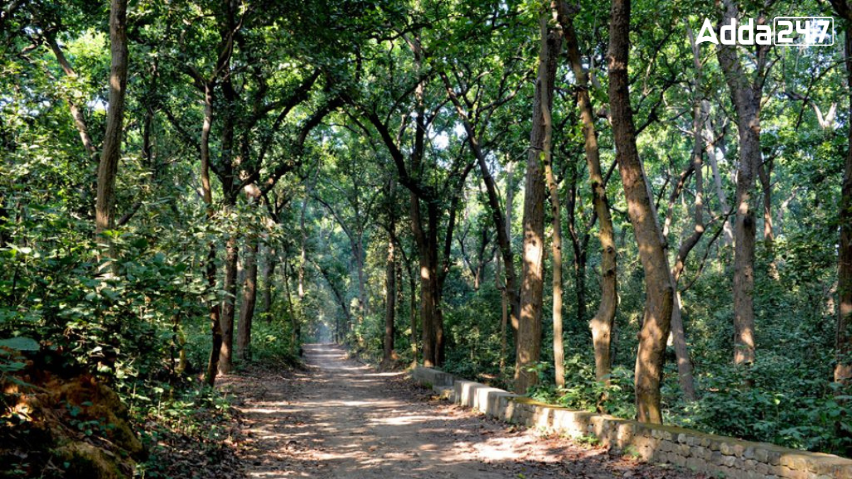 In Which State is Kalesar National Park Located?