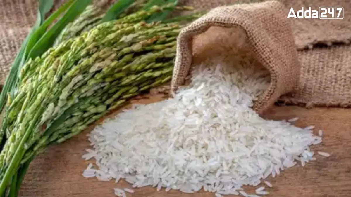 Which District of Uttar Pradesh is Known as the City of Rice?