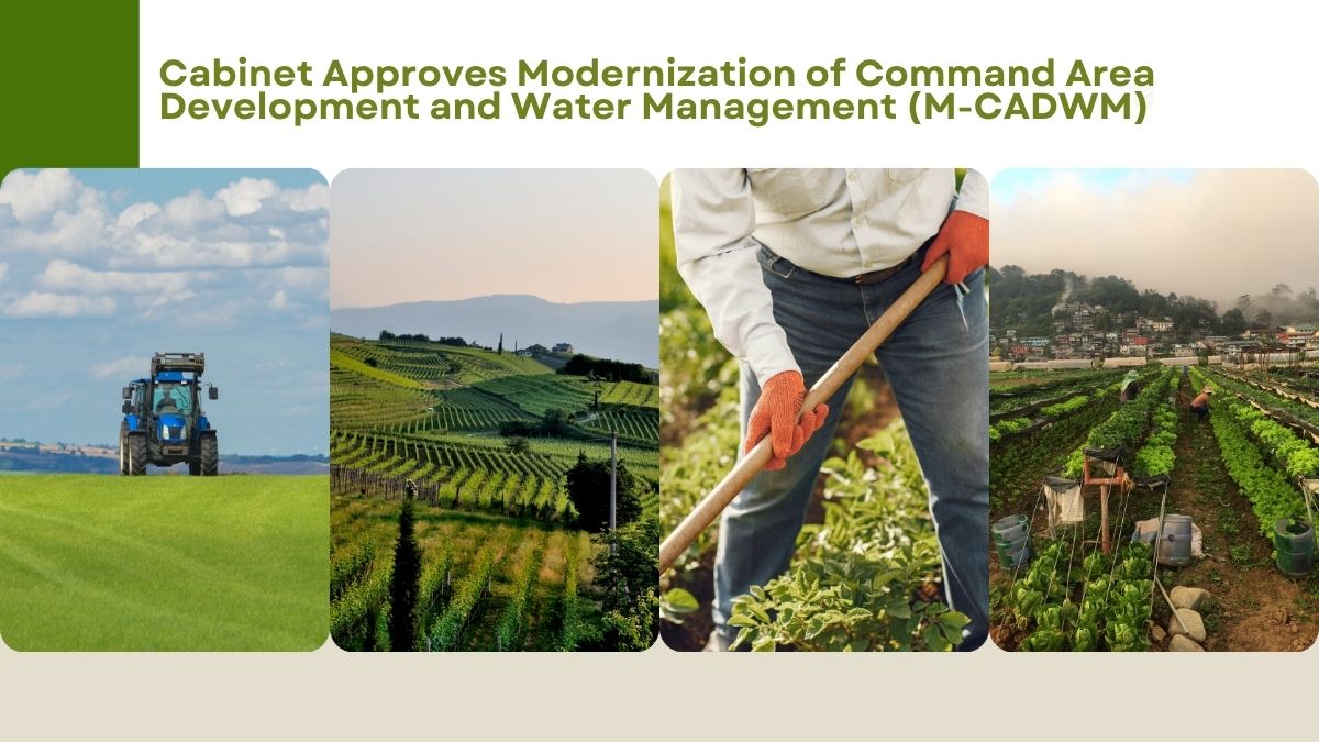 Cabinet Approves Modernization of Command Area Development and Water Management (M-CADWM)