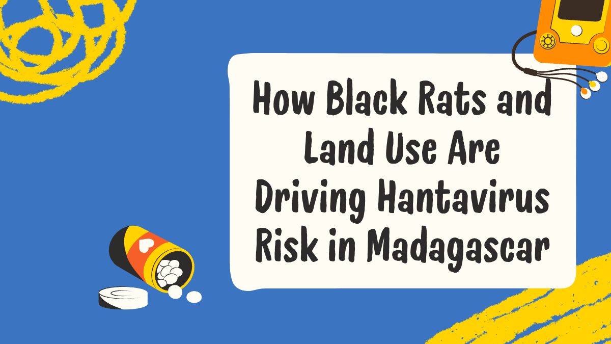 How Black Rats and Land Use Are Driving Hantavirus Risk in Madagascar