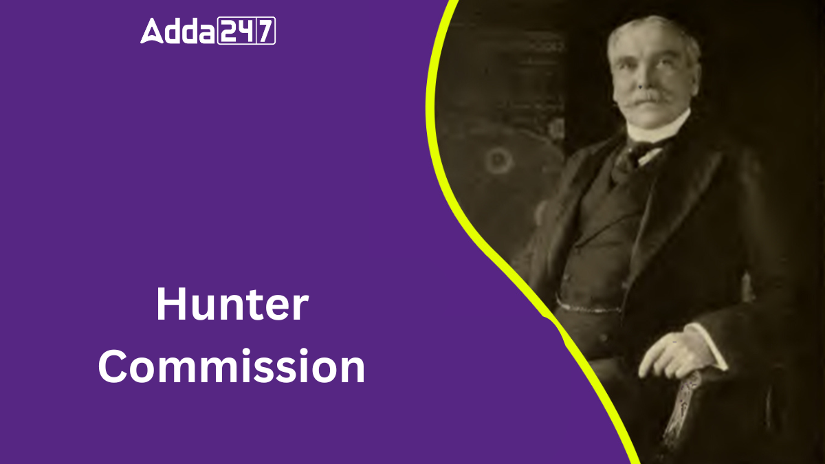 Hunter Commission – Findings & Criticism