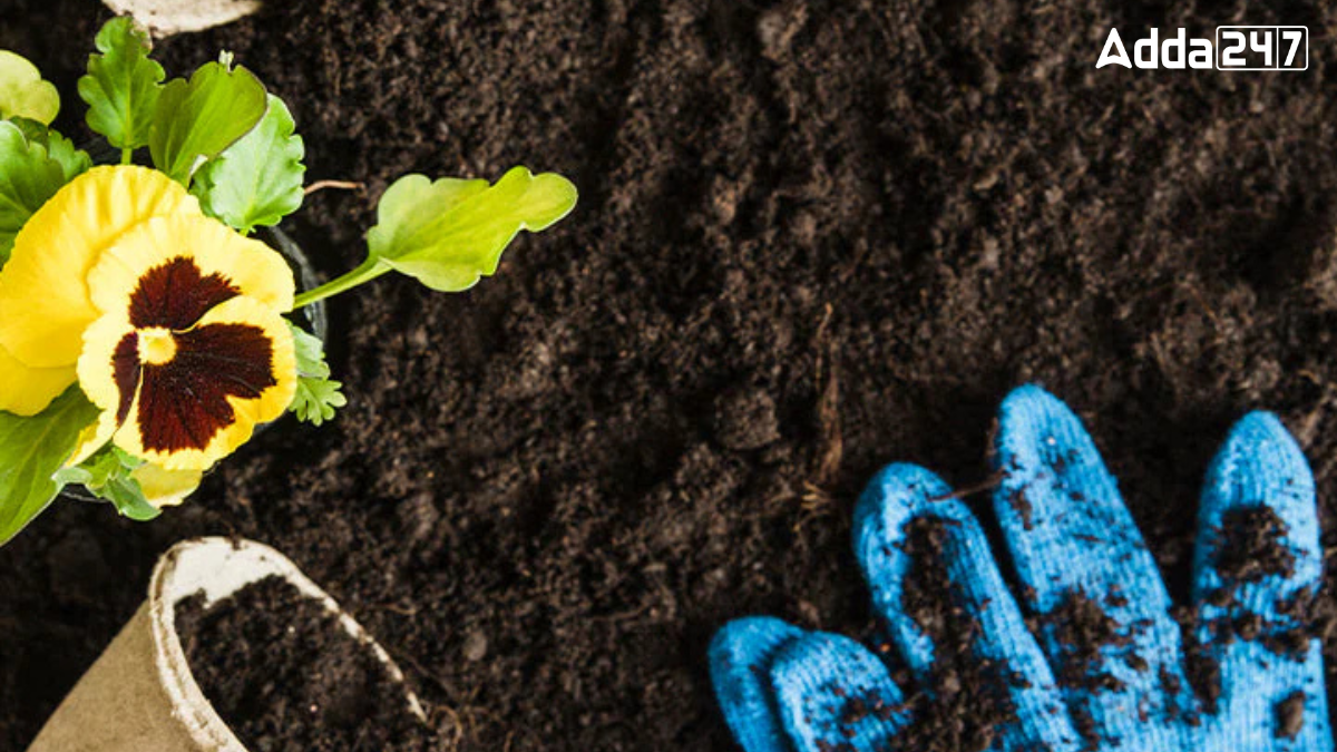 What is the Difference Between Fertilizers and Manure?