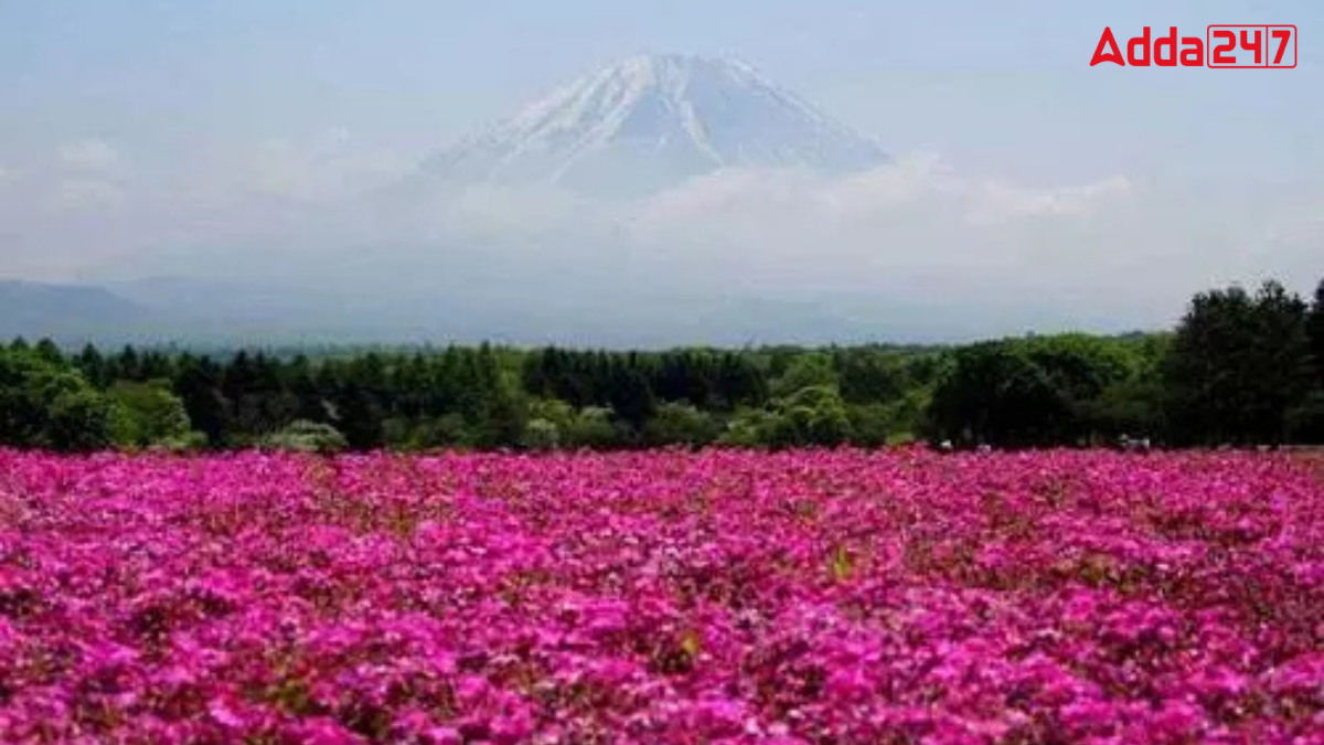 Which Country is Known as the Land of Roses?