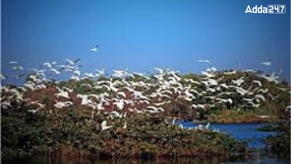 In Which State is Samaspur Bird Sanctuary Located?