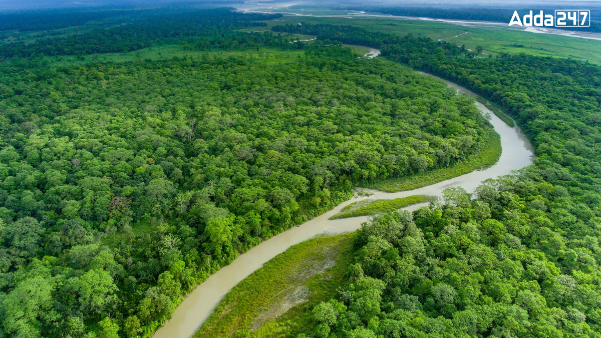 In Which State is Jaldapara National Park Located?