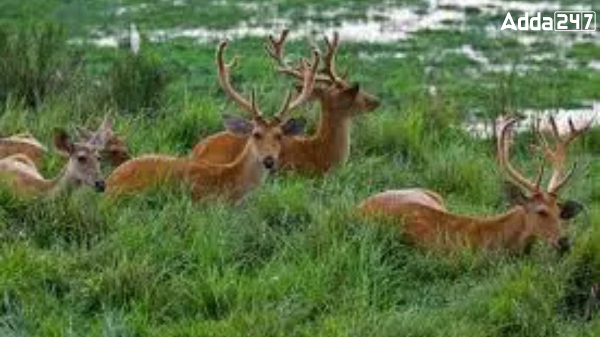 In Which State is Gautam Buddha Wildlife Sanctuary Located?