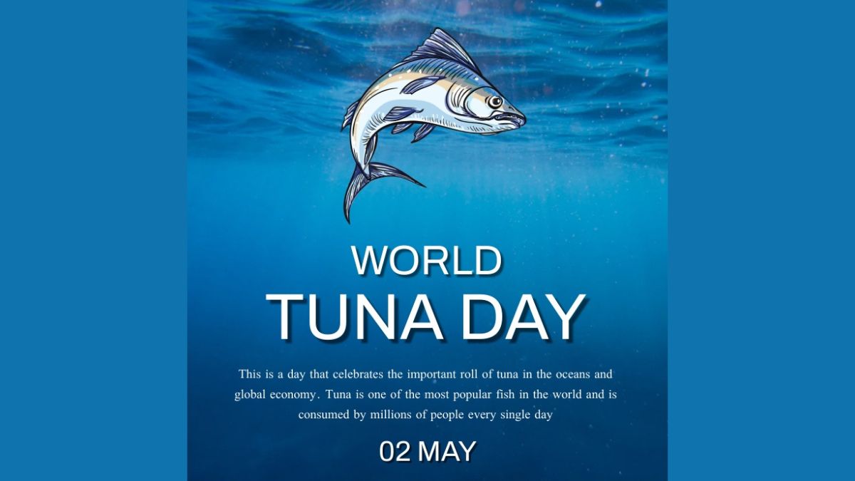 World Tuna Day 2025 Promoting Sustainability of a Vital Marine Resource