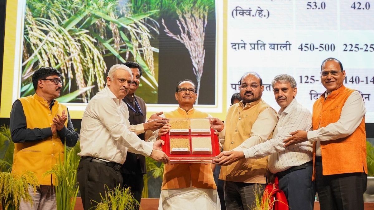 India Unveils First Genome-Edited Rice Varieties