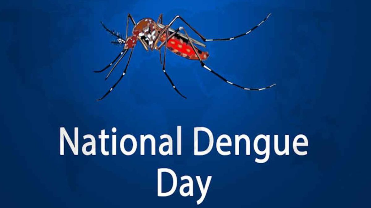 National Dengue Day 2025 Date, History, Symptoms, Cure