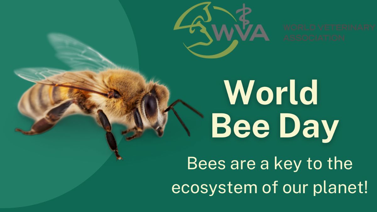 World Bee Day 2025 Nourishing Ecosystems, Securing Our Food Future