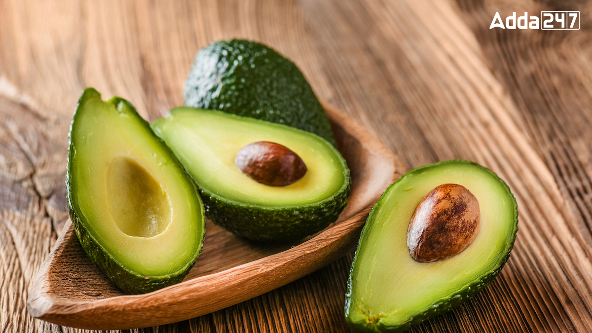 Top-5 Most Avocado Producing Countries in the World, Know the Names