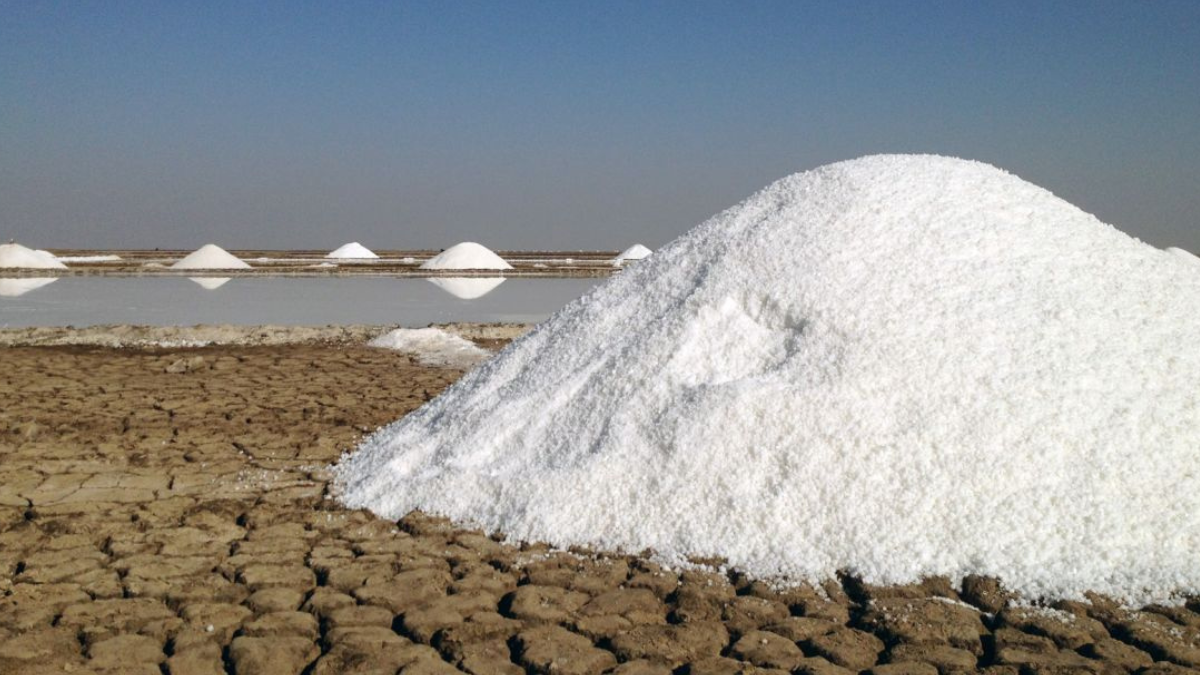 Which Indian District is Known as the City of Salt? Know About It